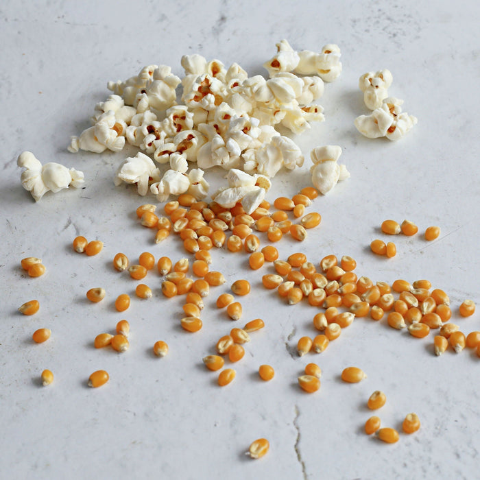 Types of Popcorn: A Guide to the Best Popcorn Kernels