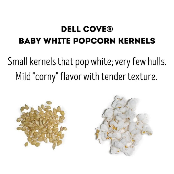 Baby White popcorn kernels shown beside small popped white popcorn with a tender texture