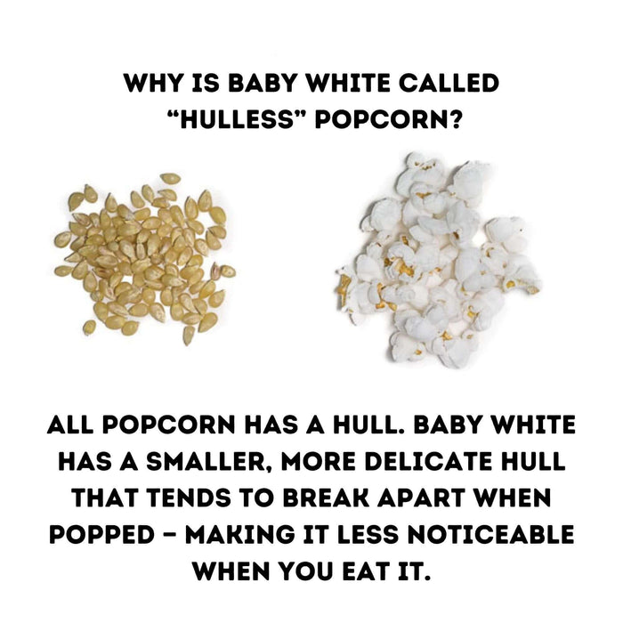 Baby White hulless popcorn kernels shown with popped popcorn and an explanation of the delicate hull