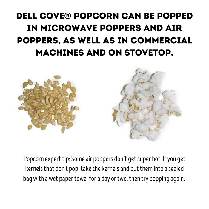 Baby white popcorn kernels side by side with popped corn - dell cove spices