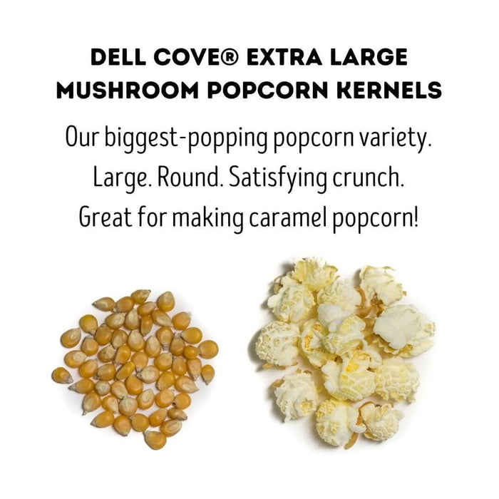 Extra Large Mushroom popcorn kernels shown beside large round popped popcorn