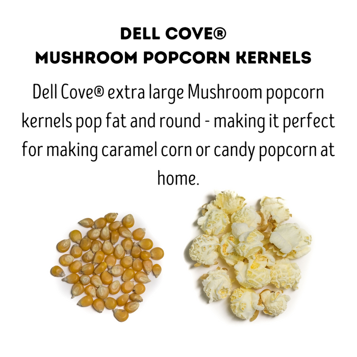 Mushroom poporn kernels and popcorn popped  - dell cove spices