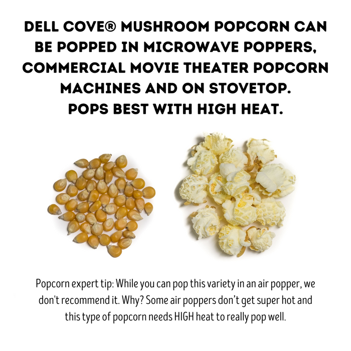 Mushroom poporn kernels and how they can be popped - dell cove spices