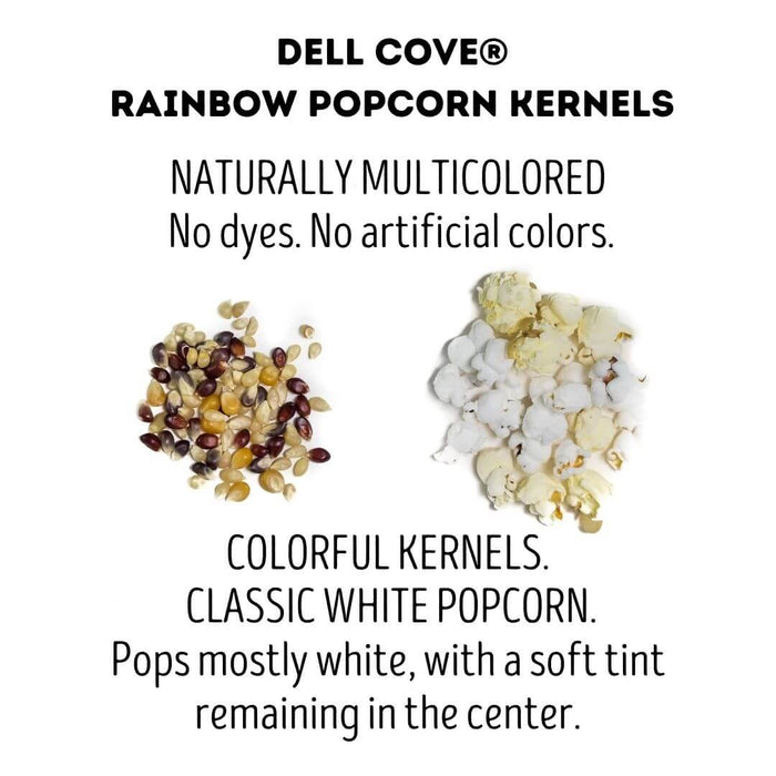 Natural multicolored Rainbow Popcorn Kernels beside mostly white popped popcorn from Dell Cove